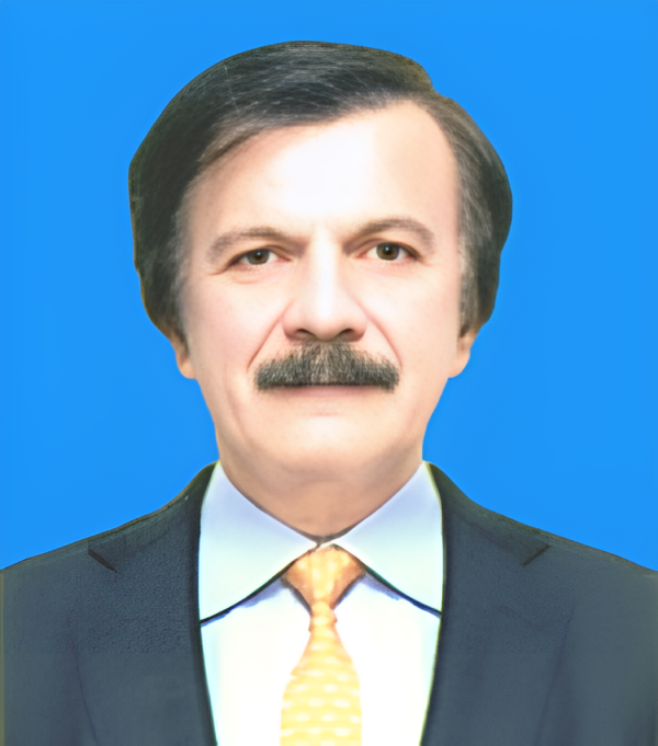 Federal Minister / SAPM, MoIP